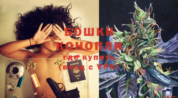 PSILOCYBIN Зерноград
