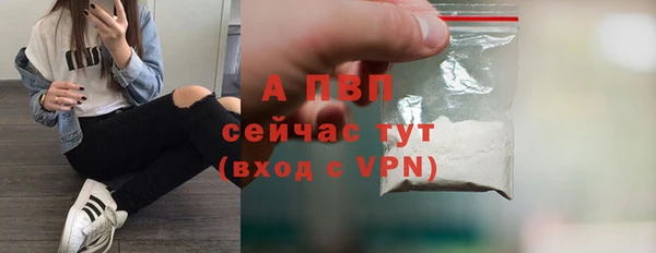 PSILOCYBIN Зерноград