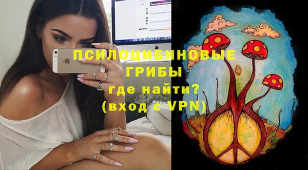 дживик Зеленодольск