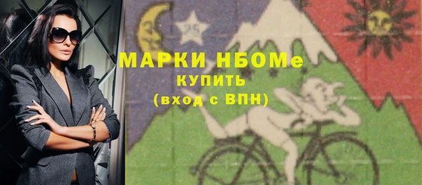 дмт Инсар