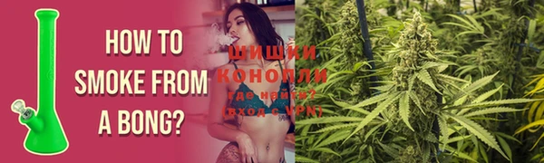 дживик Зеленодольск