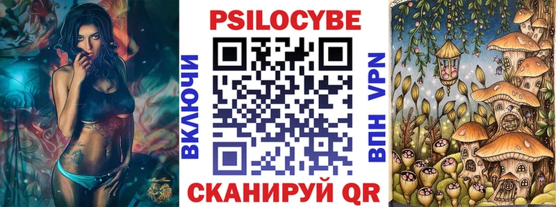 Галлюциногенные грибы мицелий  Купить закладки  Гвардейск 
